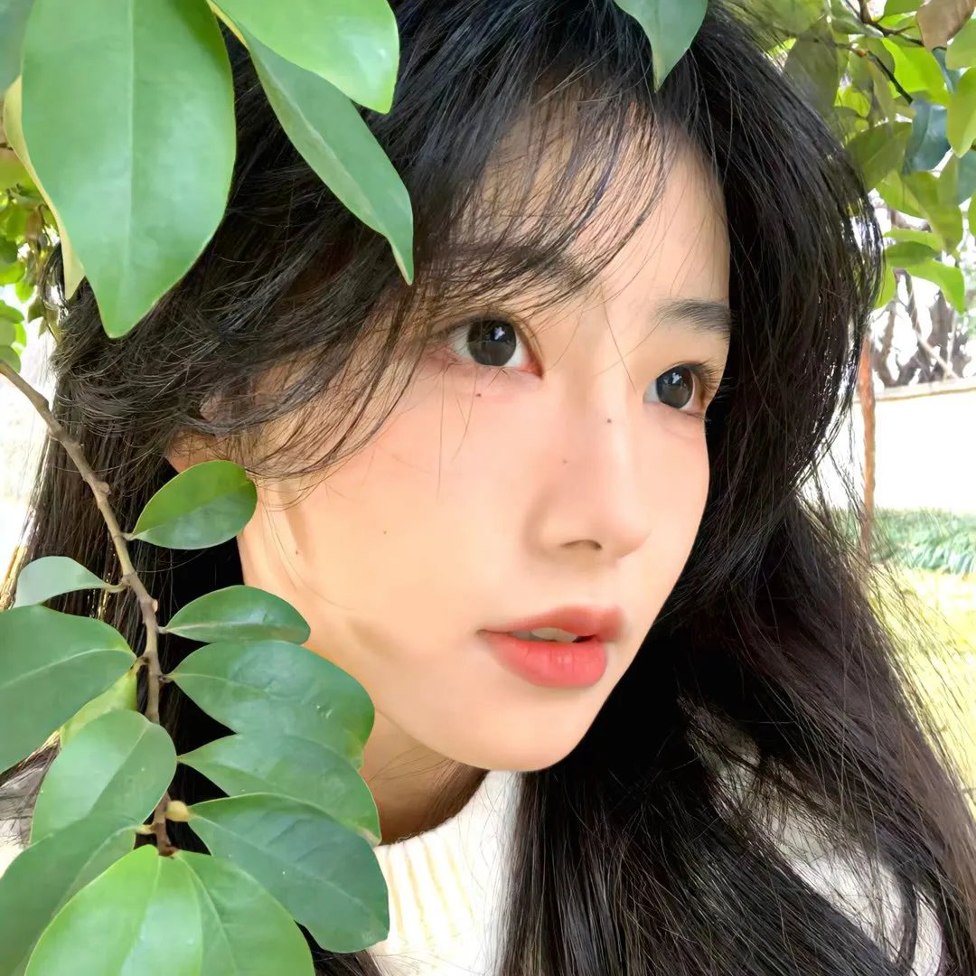 看护中