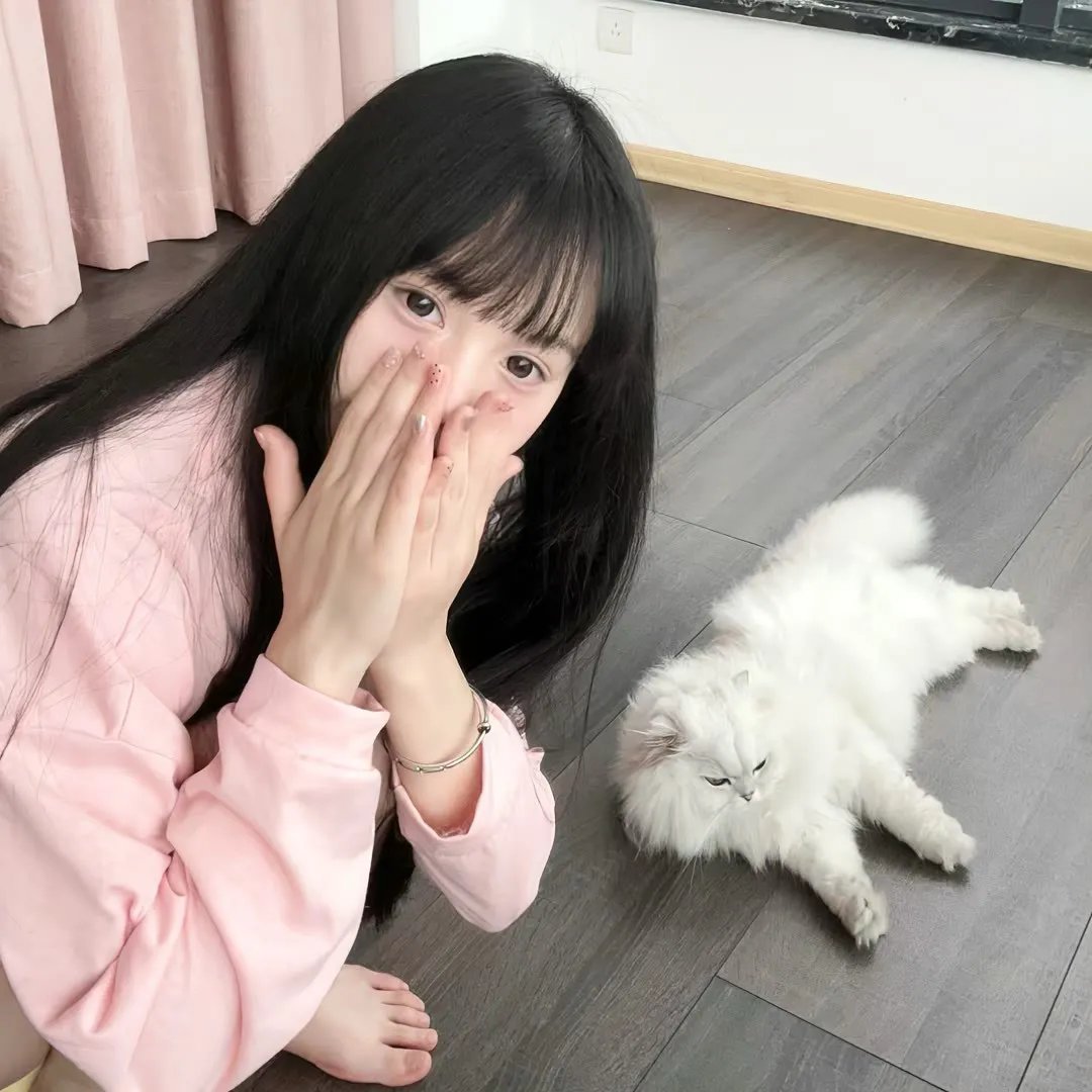 图雅的婚事